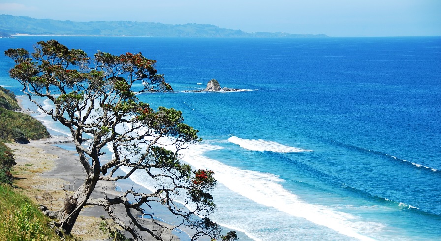 beaches in New Zealand