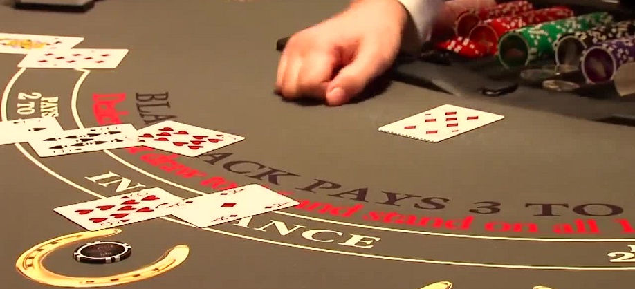 employees gamble in New Zealand